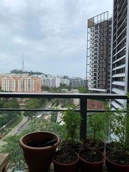 The Hillier (D23), Apartment #443454101